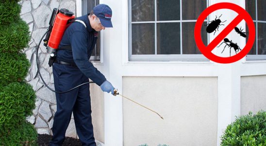Babadağ Akrep İlaçlama böcek ilaçlama ve haşere kontrolü — ilaclama-tr.com